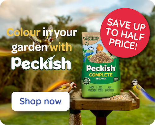 Peckish